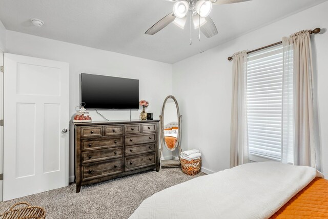 4269 Madrid Ave, Ozark, MO 65721 - photo 25