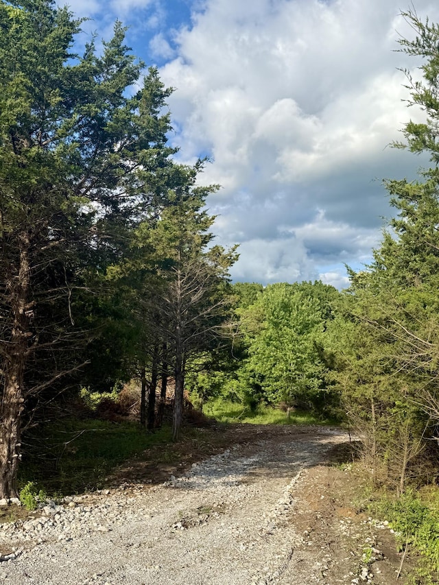678 Red Top Rd, Fair Grove, MO 65648