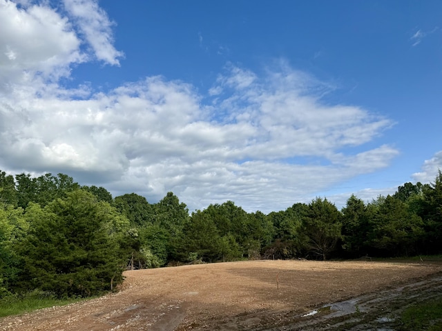 678 Red Top Rd, Fair Grove, MO 65648