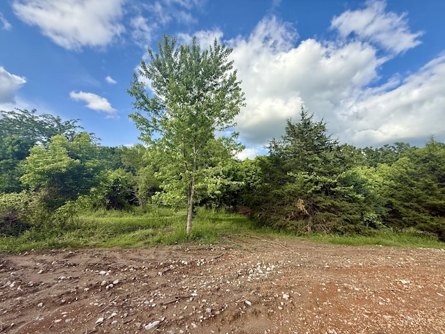 678 Red Top Rd, Fair Grove, MO 65648
