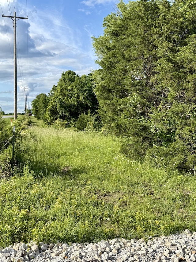678 Red Top Rd, Fair Grove, MO 65648