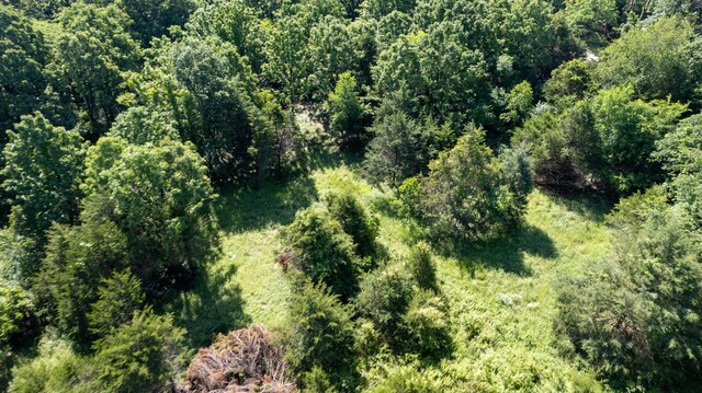 678 Red Top Rd, Fair Grove, MO 65648