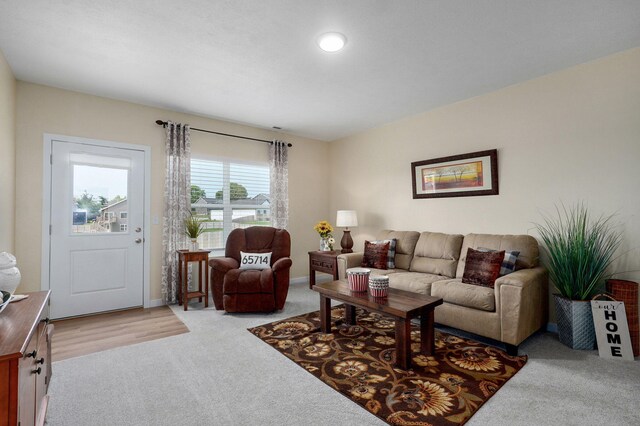 1132 E Lakota St, Nixa, MO 65714 - living area with light carpet and baseboards