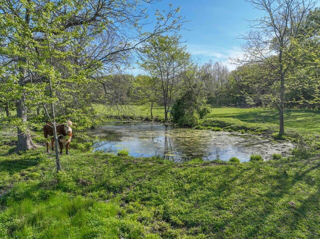 000 County Road 246, Drury, MO 65638
