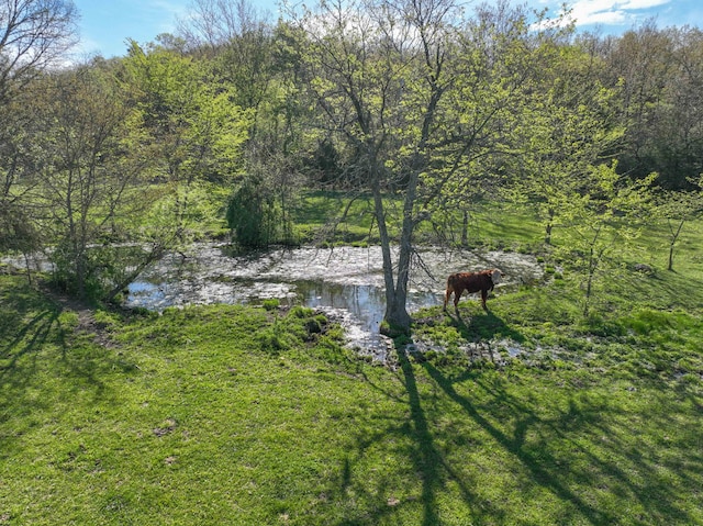 000 County Road 246, Drury, MO 65638