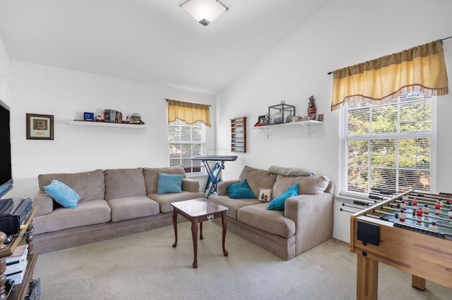 120 Deer Run Rd, Branson, MO 65616 - living room with carpet and vaulted ceiling