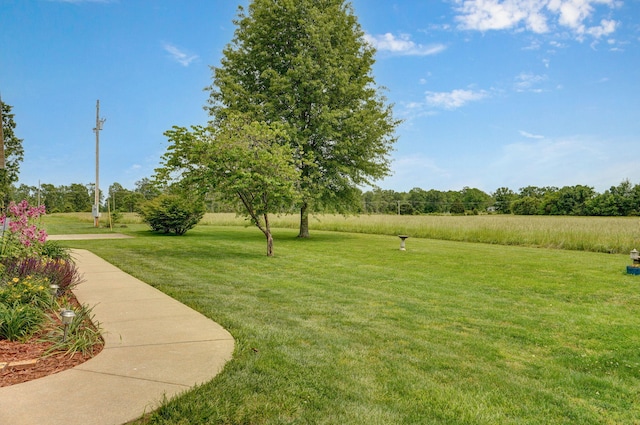 5473 N State Highway 125, Strafford, MO 65757 - view of grassy yard