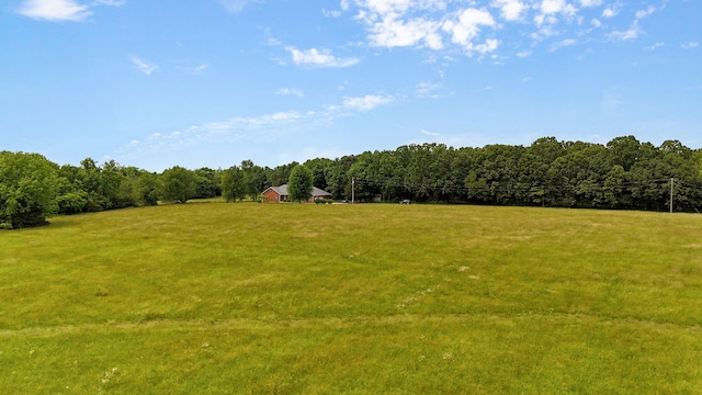 5473 N State Highway 125, Strafford, MO 65757 - view of green lawn with a view of trees and a view of rural / pastoral area