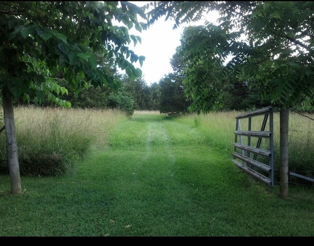 7692 N State Highway H, Springfield, MO 65803 - view of yard