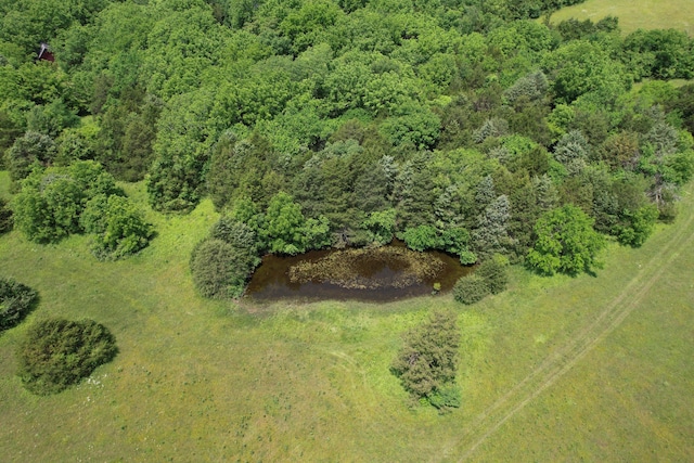 7692 N State Highway H, Springfield, MO 65803 - aerial view of a forest