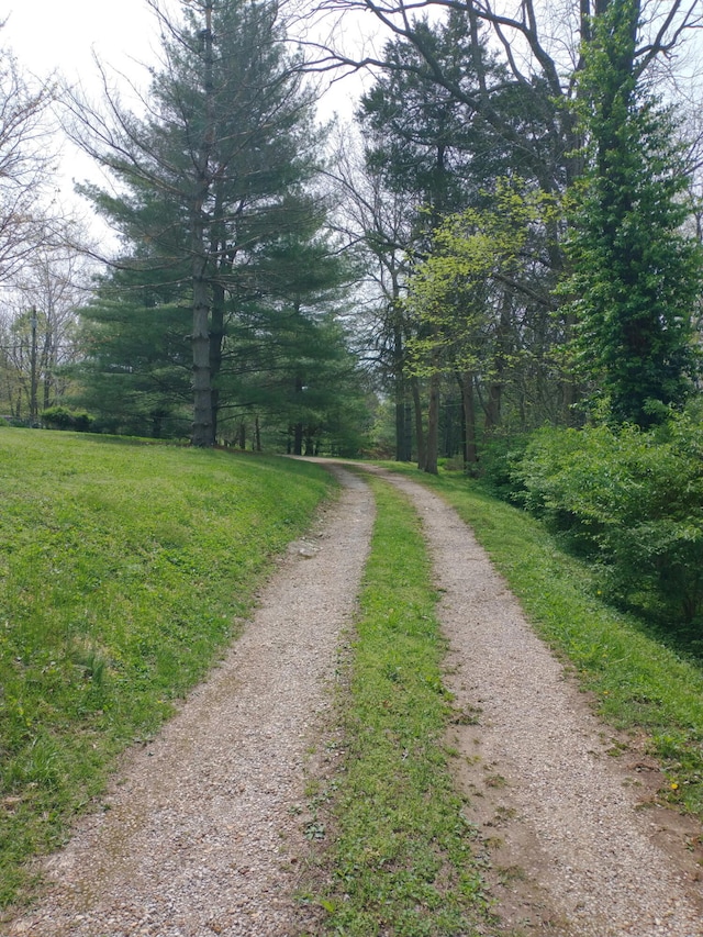 7692 N State Highway H, Springfield, MO 65803 - view of street featuring a forest view