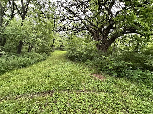 7692 N State Highway H, Springfield, MO 65803 - view of tree filled area