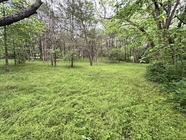 7692 N State Highway H, Springfield, MO 65803 - view of green lawn featuring a view of trees