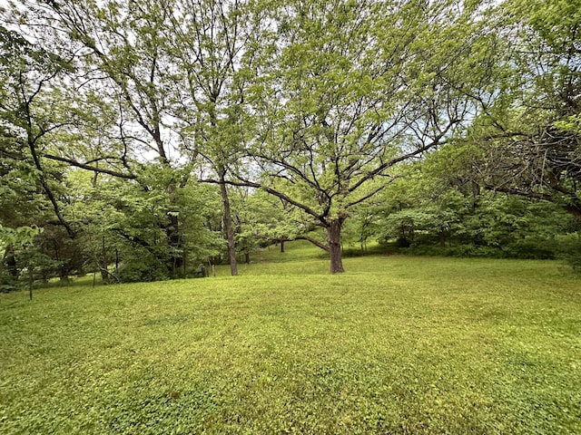 7692 N State Highway H, Springfield, MO 65803 - view of grassy yard