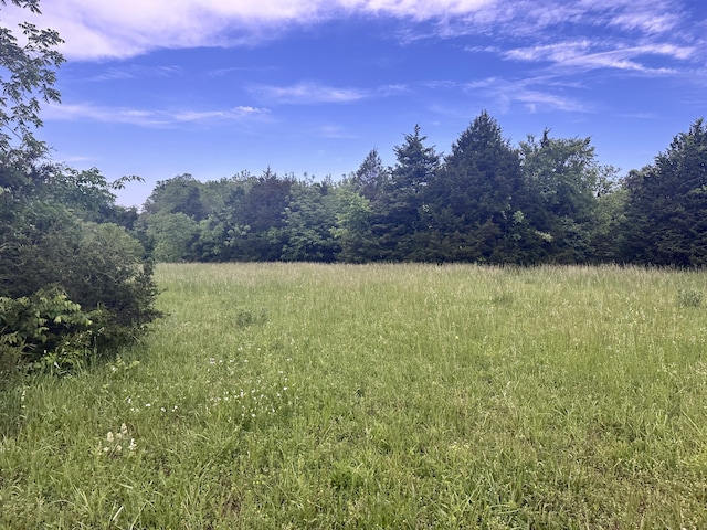 7692 N State Highway H, Springfield, MO 65803 - view of yard with a view of trees and a rural view