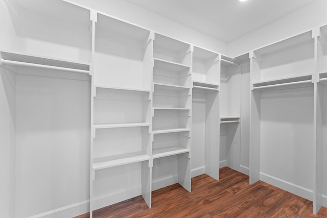 680 Highpoints Rdg, Branson, MO 65616 - spacious closet with wood finished floors