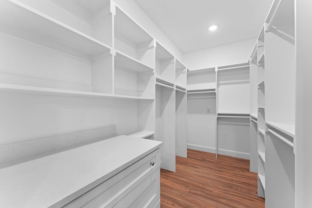 680 Highpoints Rdg, Branson, MO 65616 - walk in closet with dark wood-type flooring