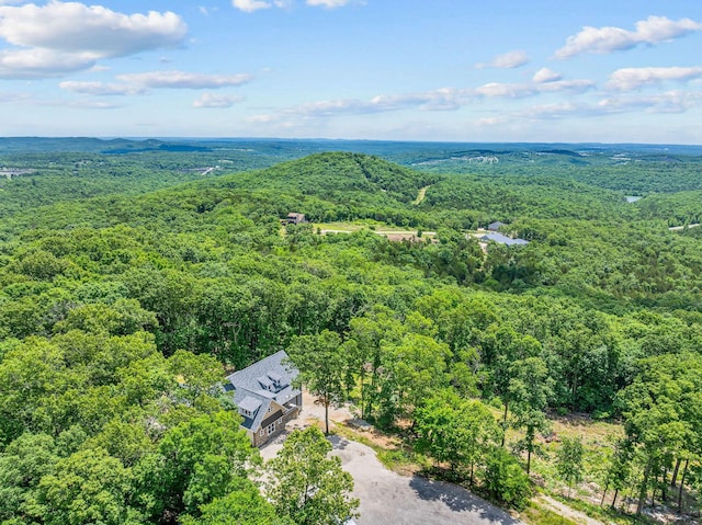 680 Highpoints Rdg, Branson, MO 65616 - aerial view of a heavily wooded area