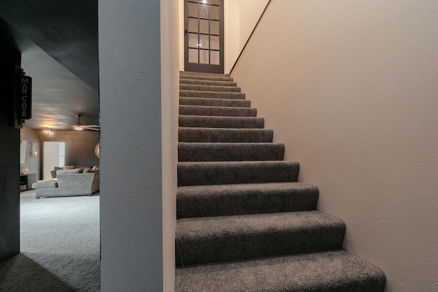 777 S Elm St, Marshfield, MO 65706 - staircase featuring a textured wall and carpet floors