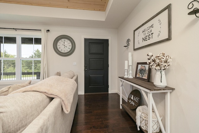 777 S Elm St, Marshfield, MO 65706 - bedroom featuring dark wood-style floors and a tray ceiling
