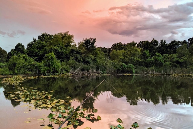 13544 State Highway Kk, Marshfield, MO 65706 - water view featuring a forest