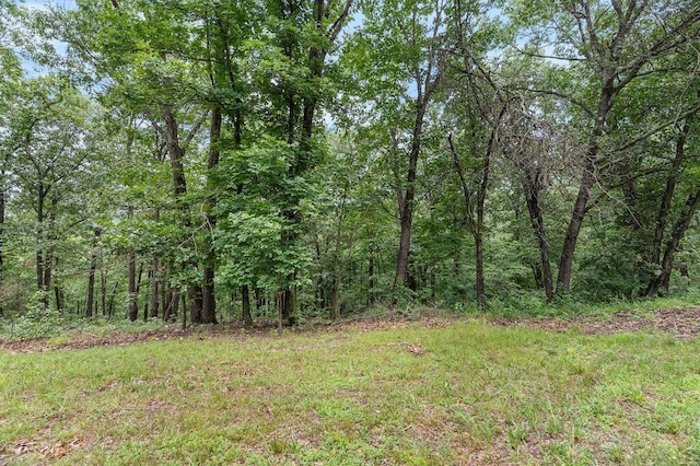6 Glory Ln, Blue Eye, MO 65611 - view of wooded area