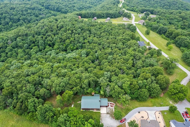 6 Glory Ln, Blue Eye, MO 65611 - aerial view of a forest