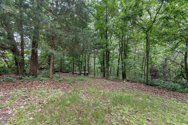 6 Glory Ln, Blue Eye, MO 65611 - view of woods