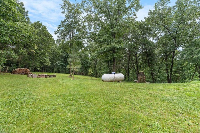 6 Glory Ln, Blue Eye, MO 65611 - view of grassy yard