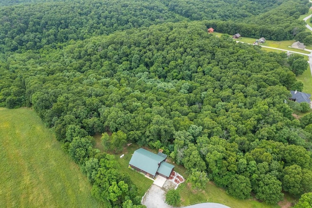 6 Glory Ln, Blue Eye, MO 65611 - aerial view of a forest