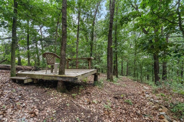 6 Glory Ln, Blue Eye, MO 65611 - view of yard with a forest view