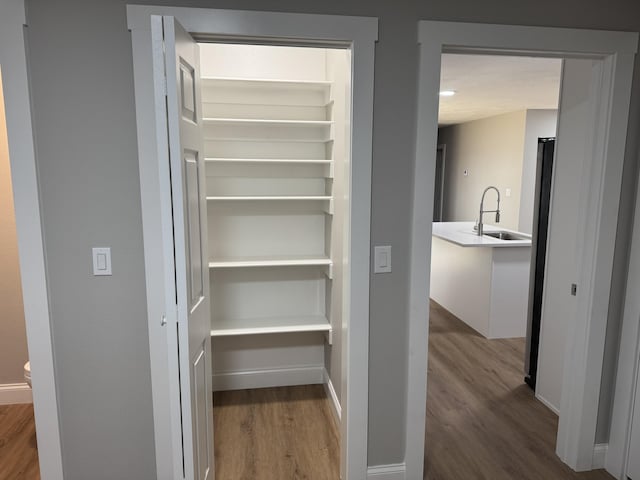 1922 S Village Ln, Bolivar, MO 65613 - closet featuring a sink