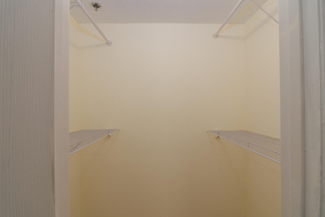 118 Vixen Cir Unit D, Branson, MO 65616 - view of spacious closet