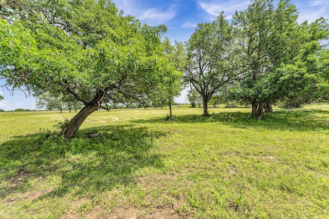 32 State Road F, Buffalo, MO 65622 - view of yard