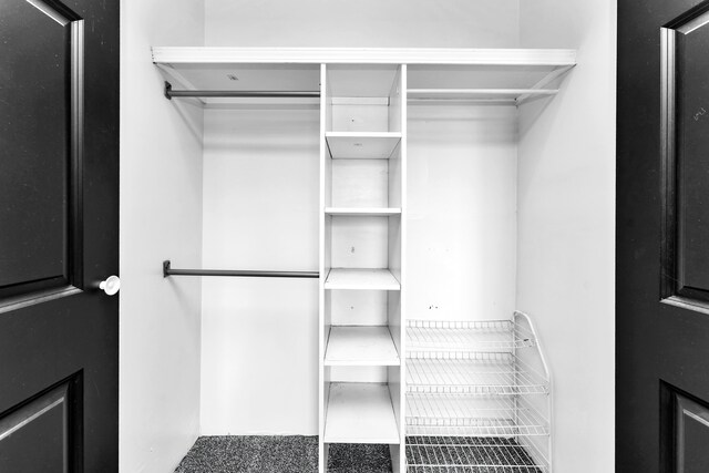 32 State Road F, Buffalo, MO 65622 - view of walk in closet