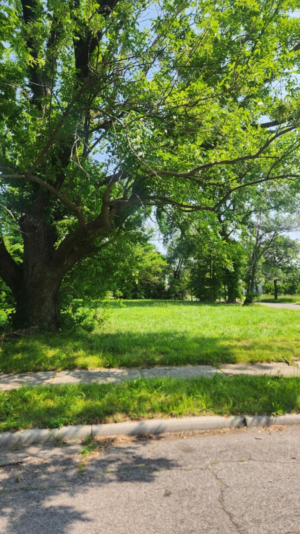 1419 W 9th St, Joplin, MO 64801