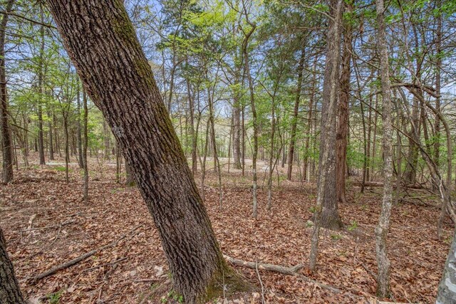 434 Beachwood Dr, Theodosia, MO 65761 - photo 48