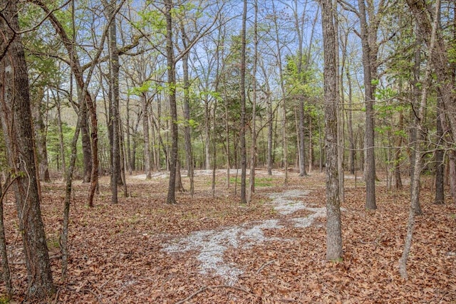 434 Beachwood Dr, Theodosia, MO 65761 - photo 49