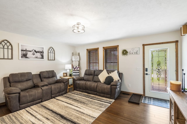 1427 W Missouri St, Buffalo, MO 65622 - living room featuring dark wood-type flooring and baseboards