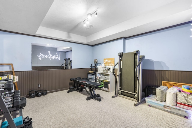 1427 W Missouri St, Buffalo, MO 65622 - workout area with wainscoting, carpet flooring, wooden walls, and a raised ceiling