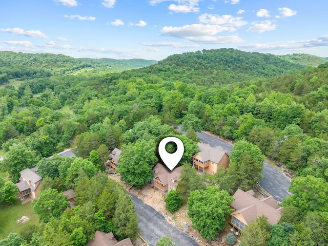 41 Stepping Stone Way Unit 55, Branson West, MO 65737 - bird's eye view of a heavily wooded area