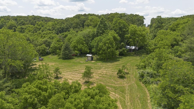 12234 Co Rd Unit 76-269, Ava, MO 65608 - view of property location featuring a heavily wooded area