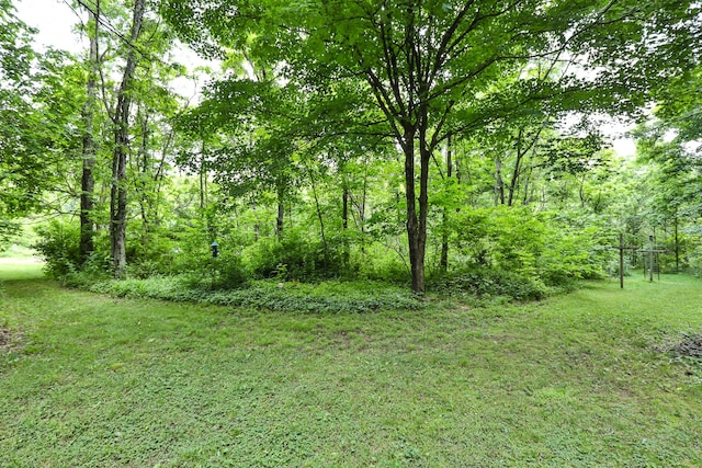 12234 Co Rd Unit 76-269, Ava, MO 65608 - view of grassy yard