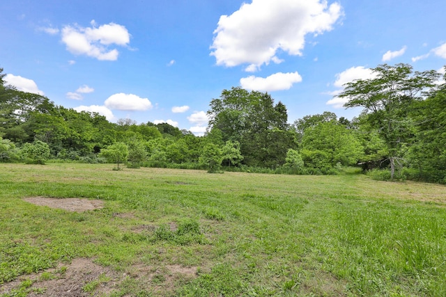 12234 Co Rd Unit 76-269, Ava, MO 65608 - view of yard featuring a forest view