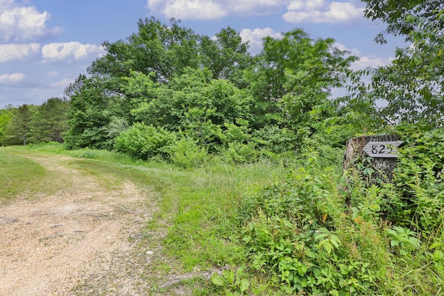 12234 Co Rd Unit 76-269, Ava, MO 65608 - view of woods
