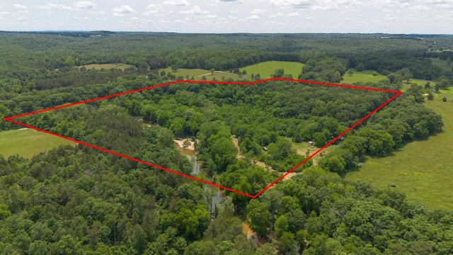 12234 Co Rd Unit 76-269, Ava, MO 65608 - aerial overview of property's location featuring a heavily wooded area and property boundaries highlighted