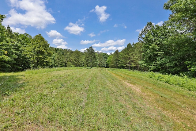 12234 Co Rd Unit 76-269, Ava, MO 65608 - view of yard with a wooded view
