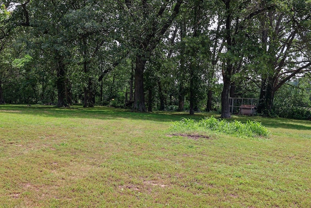 1138 Forest Ridge Dr, Bolivar, MO 65613 - photo 66