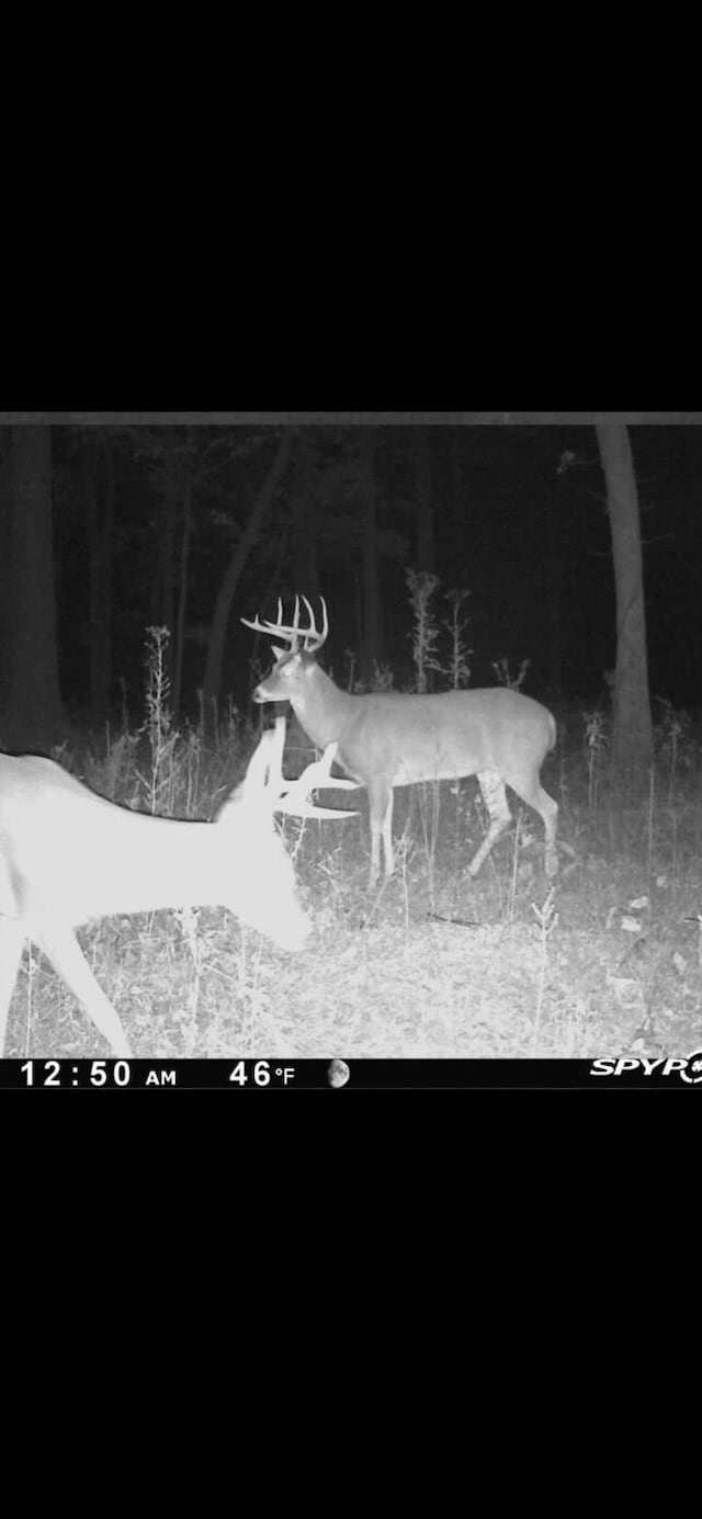 0000 Farm Rd Unit 1090, Washburn, MO 65772 - photo 108
