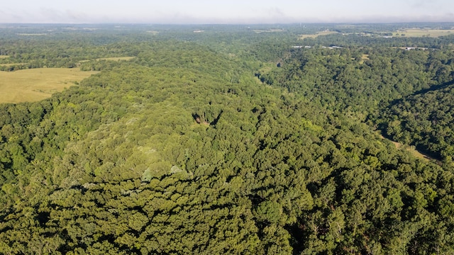 0000 Farm Rd Unit 1090, Washburn, MO 65772 - photo 16